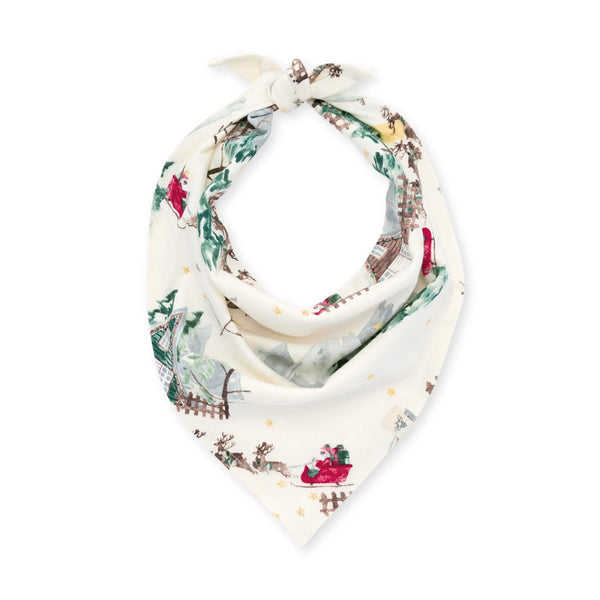 Burt's Bees Holiday Matching Pet Bandana