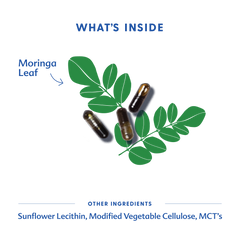 moringa and semaglutide Malunggay (Moringa) Capsules