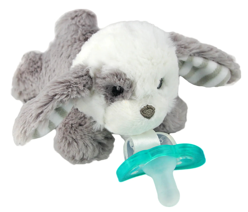 RaZBaby RaZBuddy Paci Holder with JollyPop Pacifier