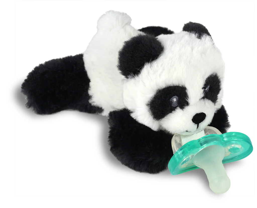 RaZBaby RaZBuddy Paci Holder with JollyPop Pacifier