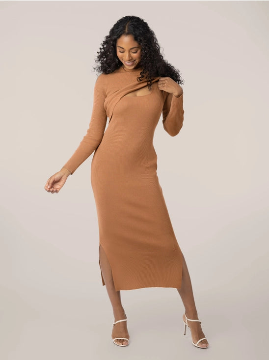 Kindred Bravely 2-in-1 Maternity and Nursing Midi Dress