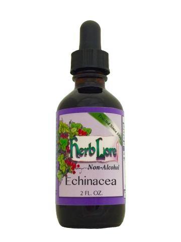 Herblore Echinacea Tincture (non-alcohol) - Healthy Horizons Breastfeeding Centers, Inc.